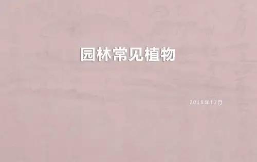 北方园林常见植物概览