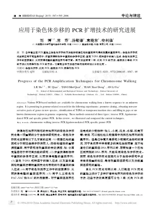 应用于染色体步移的PCR扩增技术的研究进展