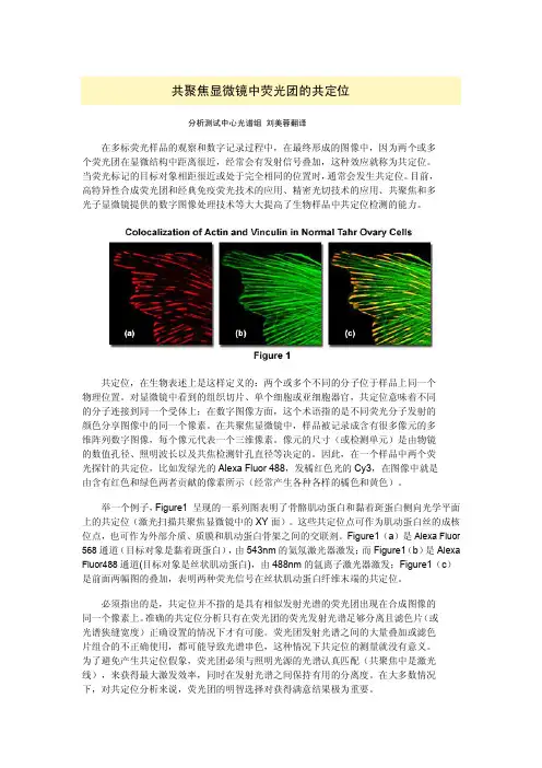 (中文版)共聚焦显微镜中的荧光团共定位