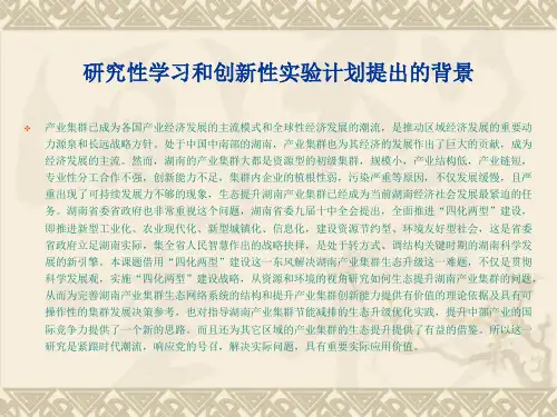 湖南省大学生研究性学习和创新性实验计划