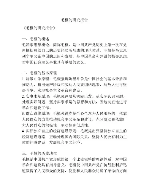毛概的研究报告