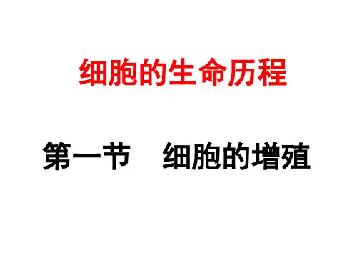 人教版必修一细胞的增殖(共45张PPT)
