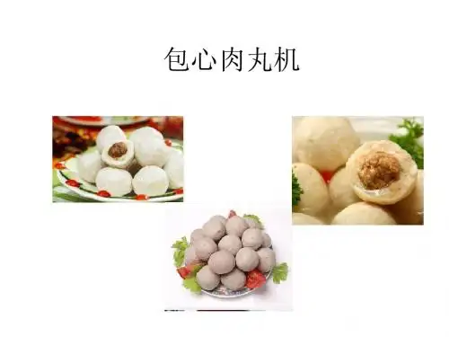 包心肉丸机