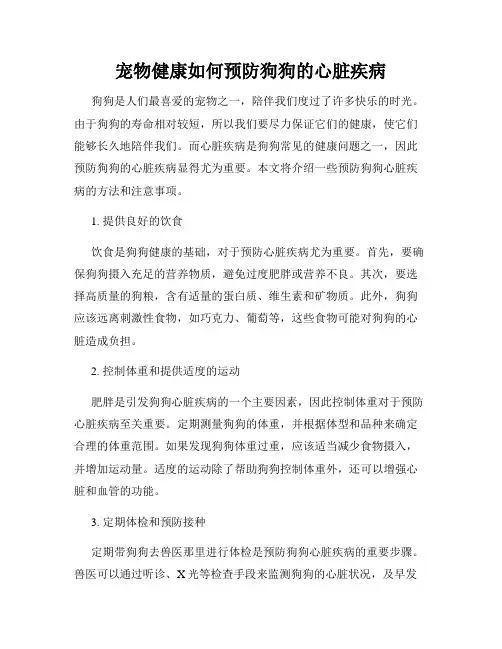 宠物健康如何预防狗狗的心脏疾病