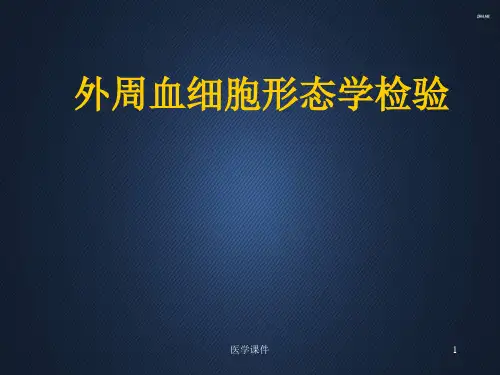 外周血细胞形态学检验  ppt课件