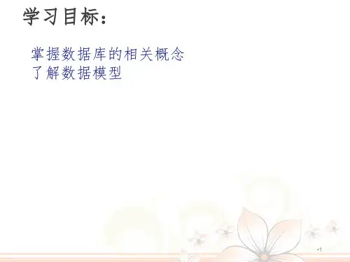 数据库的基本概念PPT课件