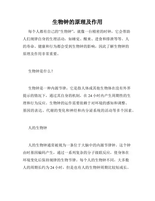 生物钟的原理及作用