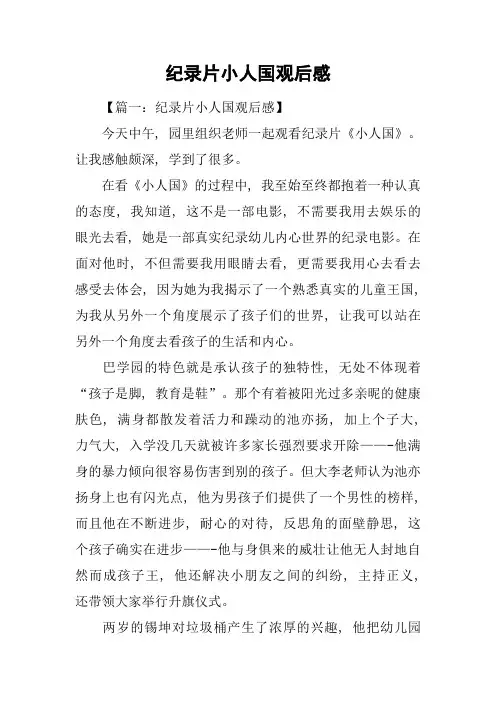 纪录片小人国观后感