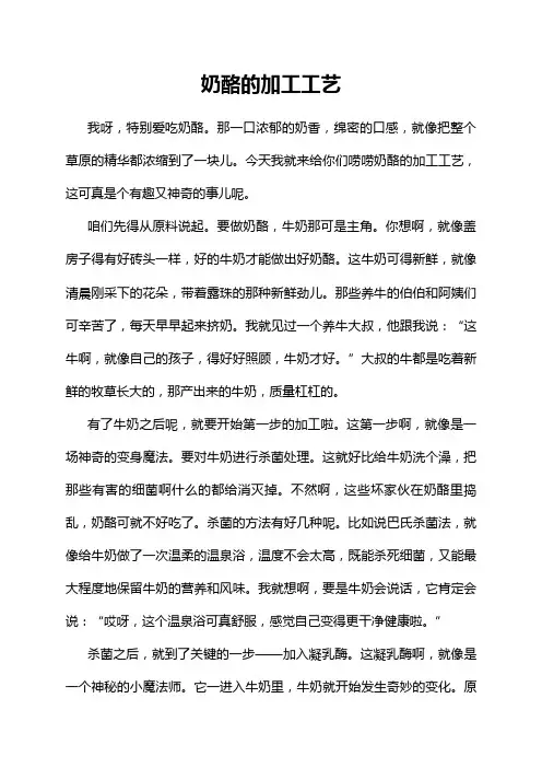 奶酪的加工工艺