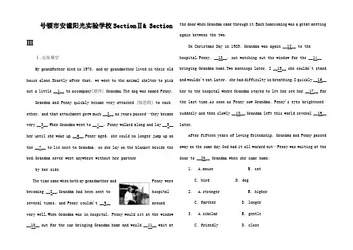 高中英语《Unit 1 Lifestyles》Sect