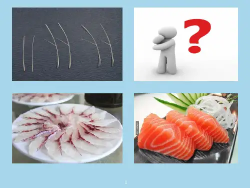 4-鱼类骨骼与肌肉