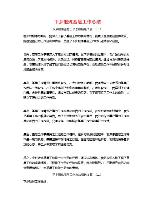 下乡锻炼基层工作总结2篇