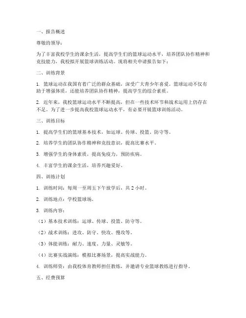 篮球训练申请报告