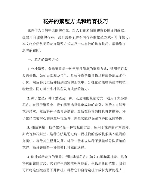 花卉的繁殖方式和培育技巧
