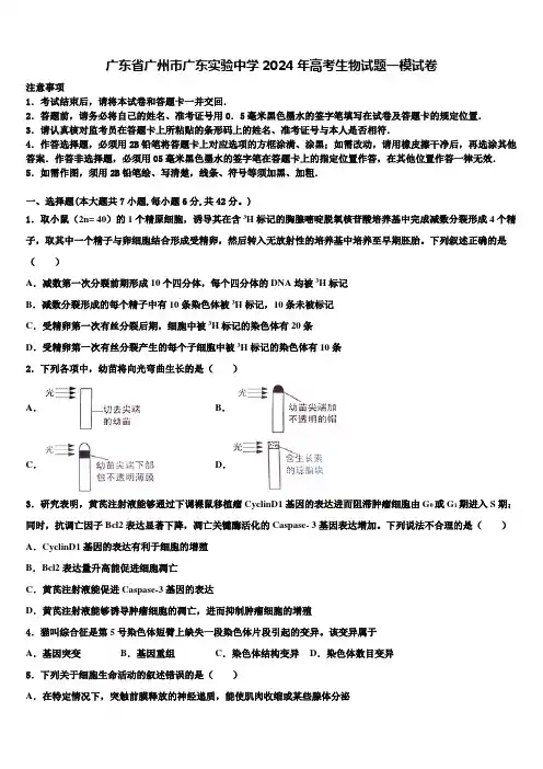 广东省广州市广东实验中学2024年高考生物试题一模试卷含解析
