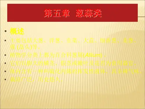 【课件】第五章葱蒜类ppt
