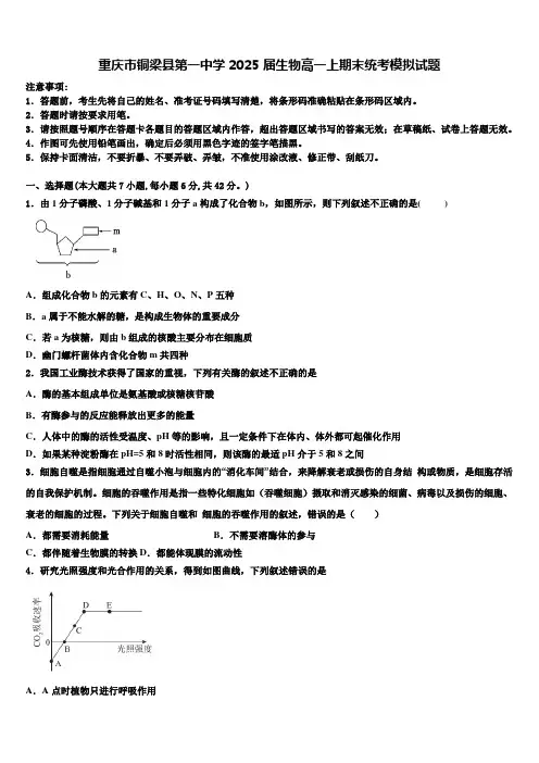 重庆市铜梁县第一中学2025届生物高一上期末统考模拟试题含解析