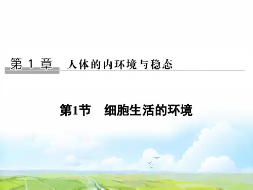 高中生物必修3优质课件：1.1 细胞生活的环境