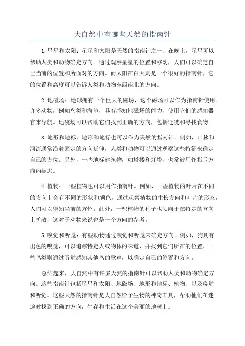 大自然中有哪些天然的指南针