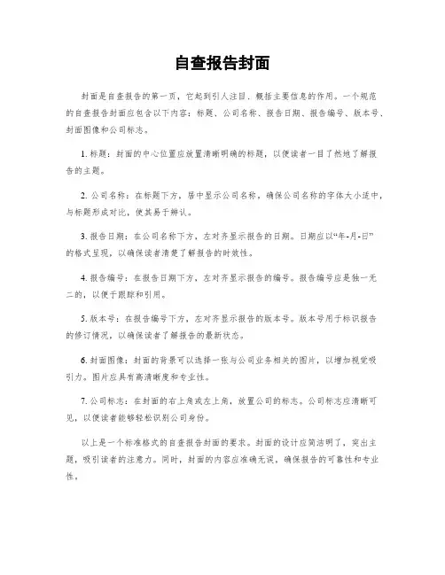 自查报告封面
