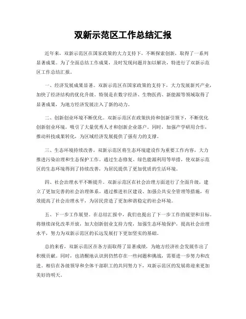 双新示范区工作总结汇报