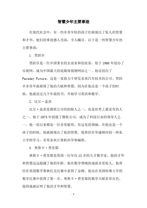 智慧少年主要事迹