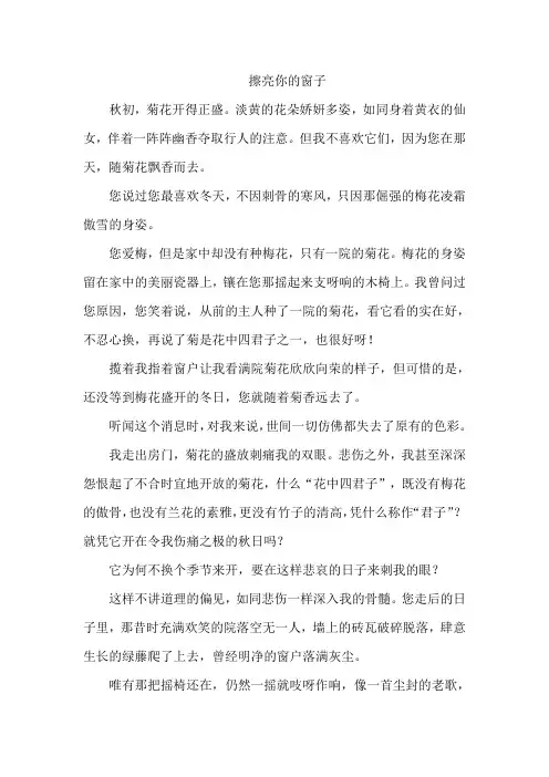 《擦亮你的窗子》八年级语文作文