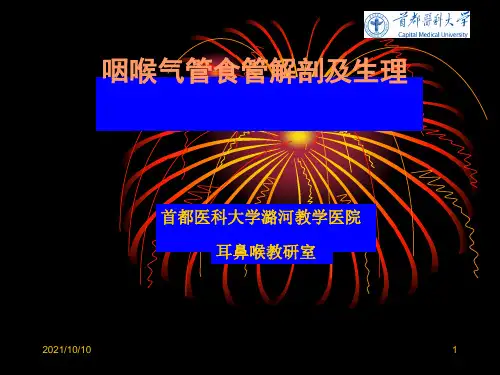 咽喉气管食管解剖