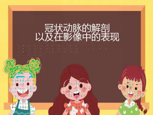 冠状动脉解剖以及在影像中的表现