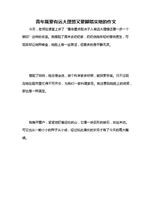 青年既要有远大理想又要脚踏实地的作文