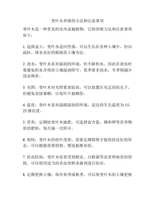 变叶木养殖的方法和注意事项
