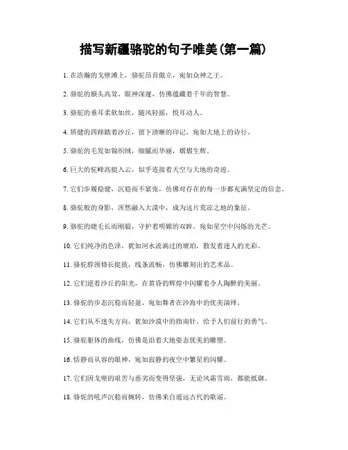 描写新疆骆驼的句子唯美(精选合集两篇)
