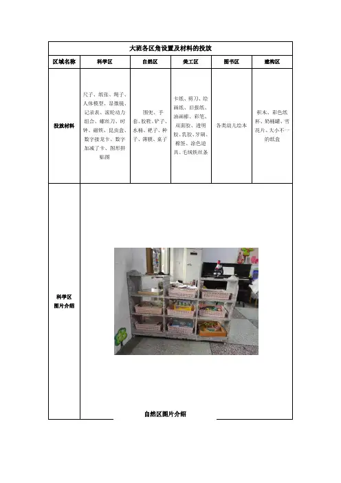大班区域设置及材料投放