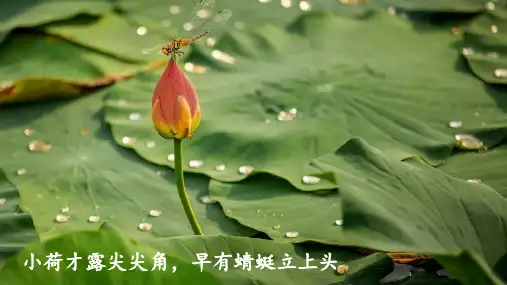 统编版语文二年级下册15古诗二首绝句(课件)(共17张PPT)