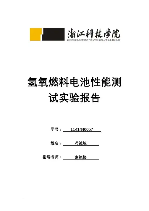 氢氧燃料电池性能测试实验报告