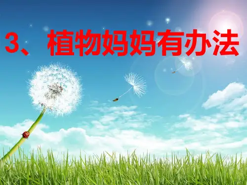 3植物妈妈有办法 PPT课件