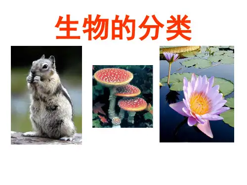 北师大版生物八年级下册 7.22.1 生物的分类(第1课时) 课件