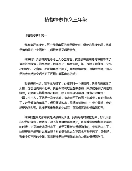 植物绿萝作文三年级