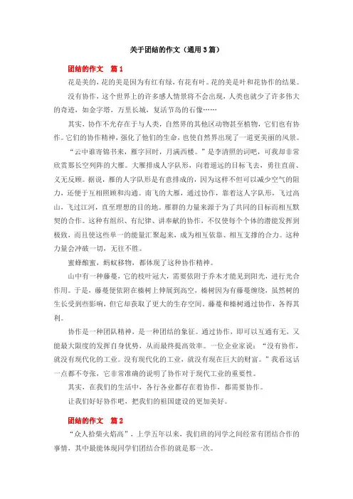 关于团结的作文(通用3篇)