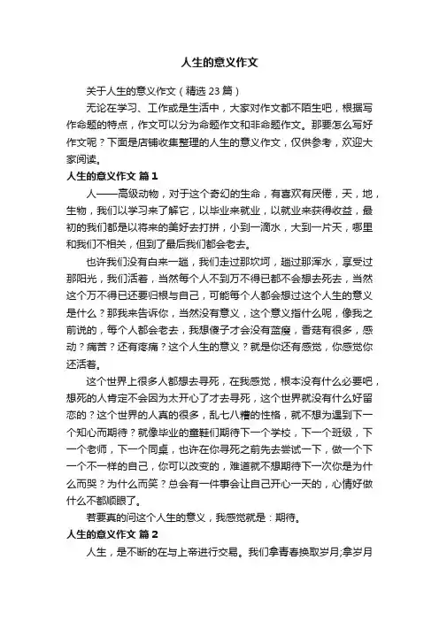 人生的意义作文