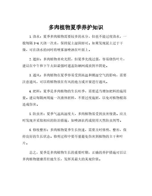 多肉植物夏季养护知识