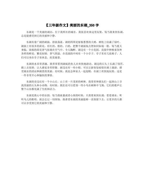 【三年级作文】美丽的东湖_350字