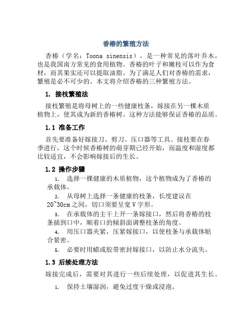 香椿的繁殖方法