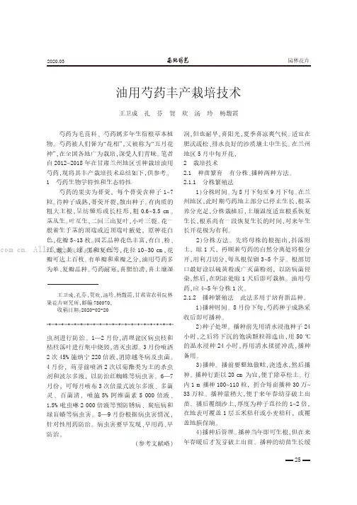 油用芍药丰产栽培技术