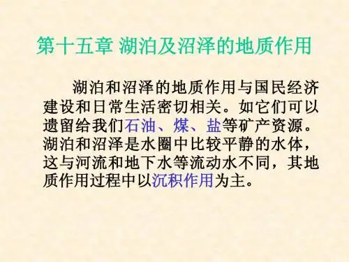 第十五章湖泊和沼泽的地质作用0