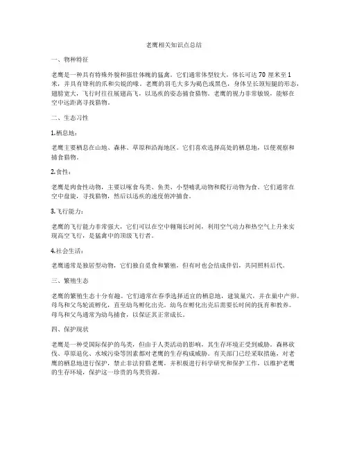 老鹰相关知识点总结