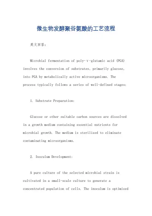 微生物发酵聚谷氨酸的工艺流程