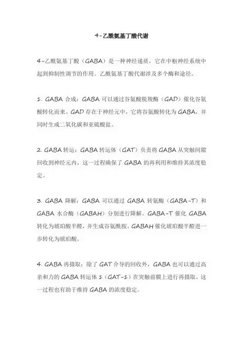 4-乙酰氨基丁酸代谢