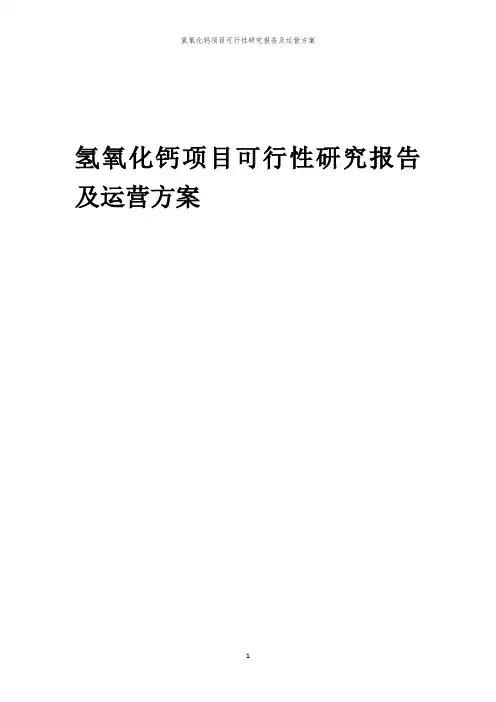 2024年氢氧化钙项目可行性研究报告及运营方案