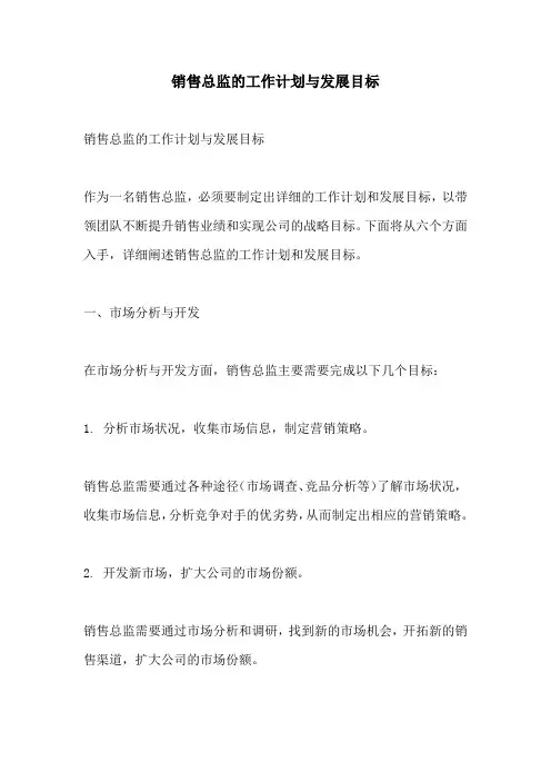 销售总监的工作计划与发展目标